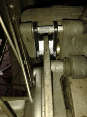 20150425_121830.jpg
