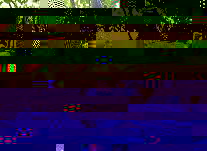 XF2011TR.JPG