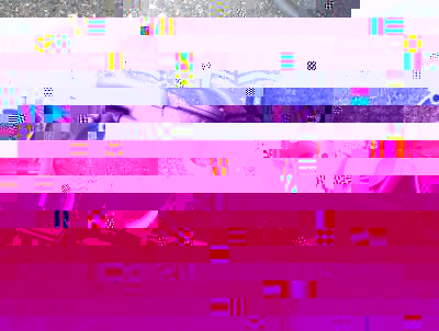 vergaser.jpg