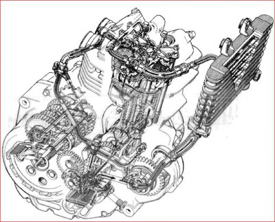 Sachs2.JPG