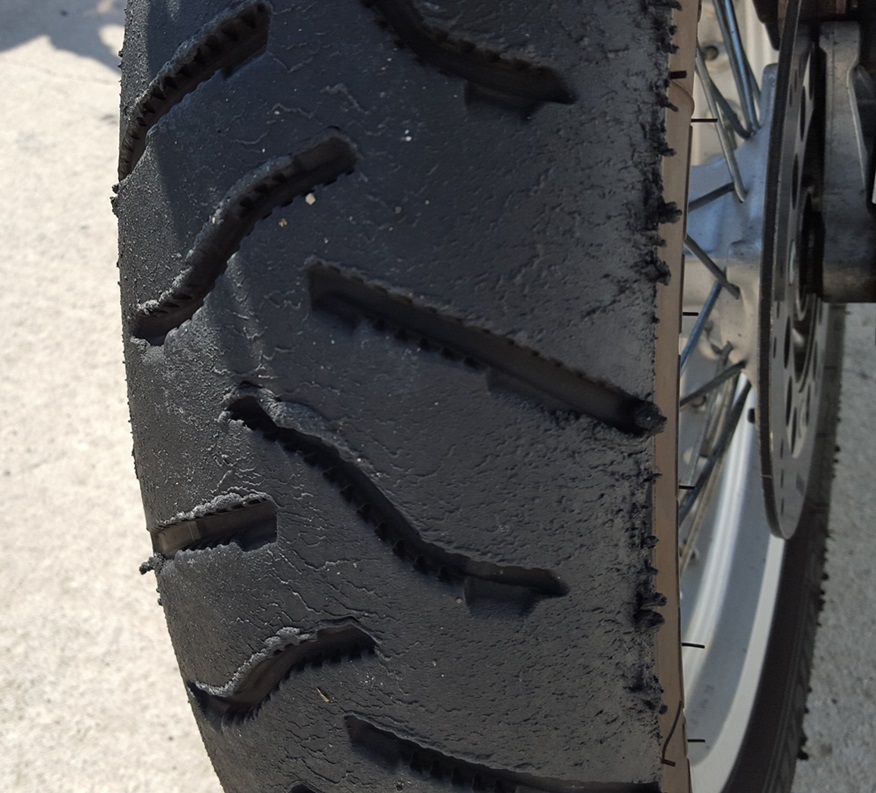 Ankee auf der Renne.jpg