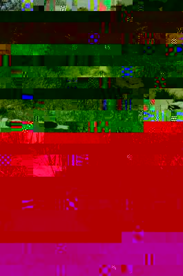 Größenänderung CIMG1481.JPG