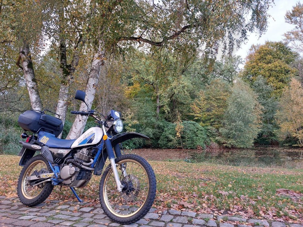 DR250S im Herbst.jpg