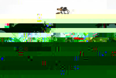 DR650_cover.jpg